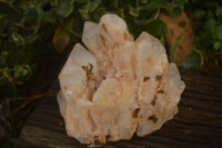 Natural Pineapple Candle Quartz Clusters  x 2 From Madagascar