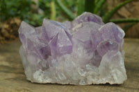 Natural Jacaranda Amethyst Clusters  x 1 From Zambia - Toprock Gemstones and Minerals 