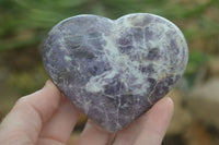 Polished Purple Lepidolite  Hearts  x 6 From Madagascar - Toprock Gemstones and Minerals 