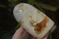 Polished Mixed Agate Standing Free Forms  x 3 From Madagascar