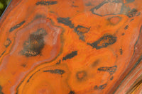 Polished Huge Banded Tiger Ironstone Display Piece  x 1 From Northern Cape, South Africa - TopRock