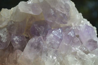 Natural Jacaranda Amethyst Clusters x 2 From Mumbwa, Zambia - TopRock