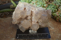 Natural Cascading Smokey Quartz Clusters x 2 From Luena, Congo