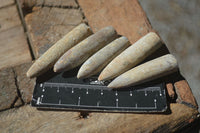 Natural Belemnite Fossil "Bullets" x 80 From Madagascar - Toprock Gemstones and Minerals 