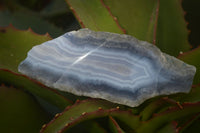 Polished One Side Blue Lace Agate Specimens x 6 From Nsanje, Malawi