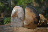 Polished Mixed Agate Standing Free Forms  x 3 From Madagascar