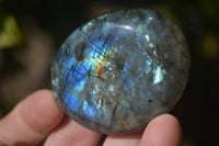 Polished  Flashy Labradorite Palm Stones  x 12 From Tulear, Madagascar