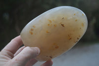 Polished Dendritic Agate Standing Free Forms  x 3 From Madagascar - Toprock Gemstones and Minerals 