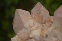 Natural Pineapple Candle Quartz Clusters  x 2 From Madagascar