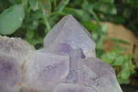 Natural Jacaranda Amethyst Cluster x 1 From Mumbwa, Zambia - TopRock