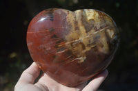 Polished Large Petrified Red Podocarpus Wood Heart  x 1 From Madagascar - Toprock Gemstones and Minerals 