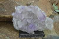 Natural Jacaranda Amethyst Clusters  x 3 From Mumbwa, Zambia - Toprock Gemstones and Minerals 