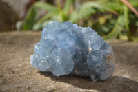 Natural Blue Celestite Crystal Specimens  x 6 From Madagascar