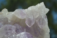 Natural Jacaranda Amethyst Clusters x 2 From Mumbwa, Zambia - TopRock