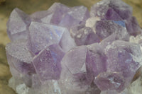 Natural Jacaranda Amethyst Clusters  x 1 From Zambia - Toprock Gemstones and Minerals 