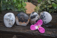 Polished Tourmalinated Quartz Standing Free Forms  x 4 From Namibia - TopRock