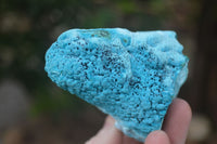 Natural Blue Chrysocolla On Silky Malachite Matrix Specimens x 2 From Kulukuluku, Congo - Toprock Gemstones and Minerals 