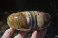 Polished Large Petrified Red Podocarpus Wood Heart  x 1 From Madagascar - Toprock Gemstones and Minerals 