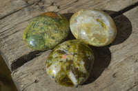 Polished Green Opal Galet / Palm Stones x 12 From Antsirabe, Madagascar