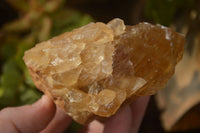 Natural Honey Aragonite Etched & Cobbed Pieces  x 6 From Namibia