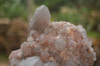 Natural Red Hematoid Quartz Specimens x 3 From Karoi, Zimbabwe - TopRock