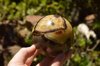 Polished Septarian (Calcite & Aragonite) Spheres  x 3 From Mahajanga, Madagascar - TopRock