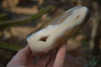 Polished Mixed Agate Standing Free Forms  x 3 From Madagascar