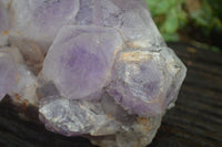 Natural Jacaranda Amethyst Cluster x 1 From Mumbwa, Zambia - TopRock