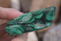 Polished Flower Banded Malachite Free Forms  x 6 From Congo - Toprock Gemstones and Minerals 