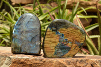 Polished Labradorite Standing Free Forms With Intense Blue & Gold Flash x 2 From Tulear, Madagascar - TopRock