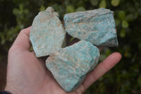 Natural Rough Amazonite Cobbed Specimens  x 12 From Madagascar