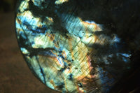 Polished Large Labradorite Standing Free Form  x 1 From Tulear, Madagascar