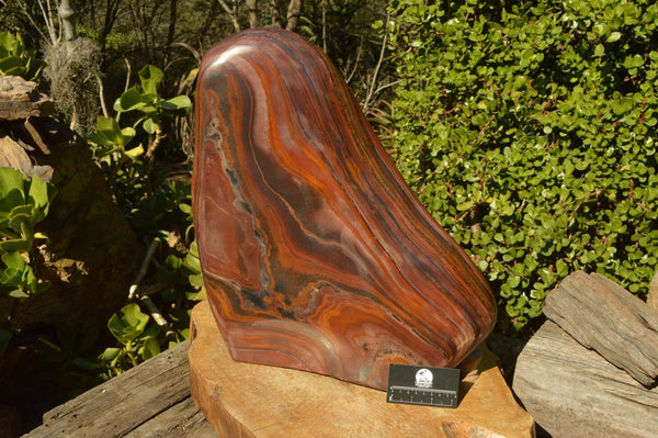 Polished Huge Banded Tiger Ironstone Display Piece  x 1 From Northern Cape, South Africa - TopRock