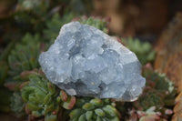 Natural Blue Celestite Crystal Specimens  x 6 From Madagascar