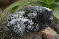 Natural Schorl Black Tourmaline & Smokey Quartz Specimens x 2 From Erongo Mountains, Namibia - TopRock