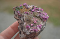 Natural Salrose Cobaltion Dolomite Specimens  x 12 From Kakanda, Congo - TopRock