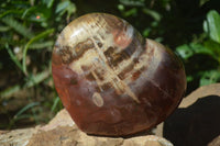 Polished Large Petrified Red Podocarpus Wood Heart  x 1 From Madagascar - Toprock Gemstones and Minerals 