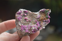 Natural Salrose Cobaltion Dolomite Specimens  x 12 From Kakanda, Congo - TopRock