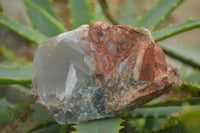 Natural Rough Cobbed Bloodstone Specimens  x 24 From Swaziland - TopRock