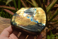 Polished Labradorite Standing Free Forms With Intense Blue & Gold Flash x 2 From Tulear, Madagascar - TopRock