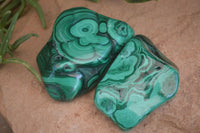 Polished Flower Banded Malachite Free Forms  x 6 From Congo - Toprock Gemstones and Minerals 