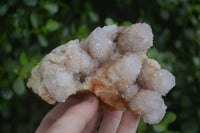 Natural Spirit Amethyst / Ametrine Quartz Clusters  x 2 From Boekenhouthoek, South Africa - Toprock Gemstones and Minerals 