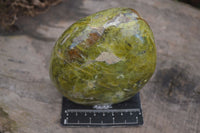 Polished Green Opal Standing Free Forms  x 2 From Antsirabe, Madagascar - Toprock Gemstones and Minerals 