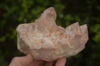 Natural Pineapple Candle Quartz Clusters  x 2 From Madagascar