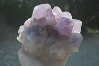 Natural Jacaranda Amethyst Clusters  x 1 From Zambia - Toprock Gemstones and Minerals 