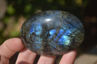 Polished  Flashy Labradorite Palm Stones  x 12 From Tulear, Madagascar