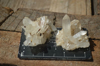 Natural Small Mixed Quartz Clusters  x 35 From Madagascar - Toprock Gemstones and Minerals 