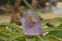 Polished Stunning Selection Of Small Window Amethyst Crystals  x 35 From Akansobe, Madagascar - TopRock