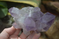 Natural Jacaranda Amethyst Clusters  x 3 From Mumbwa, Zambia - Toprock Gemstones and Minerals 