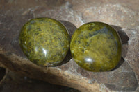 Polished Green Opal Galet / Palm Stones x 12 From Antsirabe, Madagascar